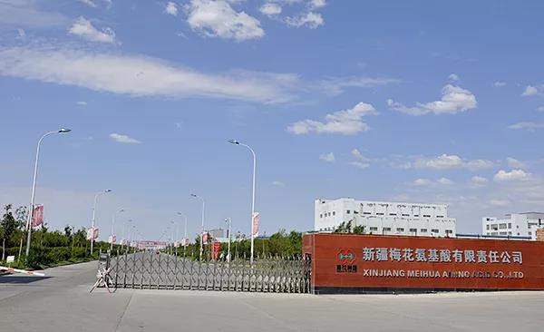 塔林鼎尚快報丨新疆梅花集團攜塔林鼎尚公司進行小碗菜廚藝大比拼啦！